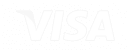 logo visa 3 130x50